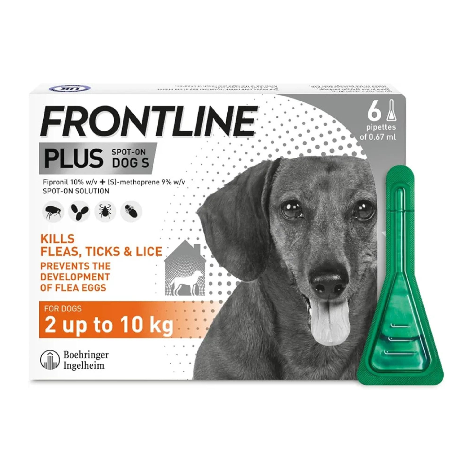 FRONTLINE Plus Flea & Tick Treatment for Small Dogs – 6 Pipettes