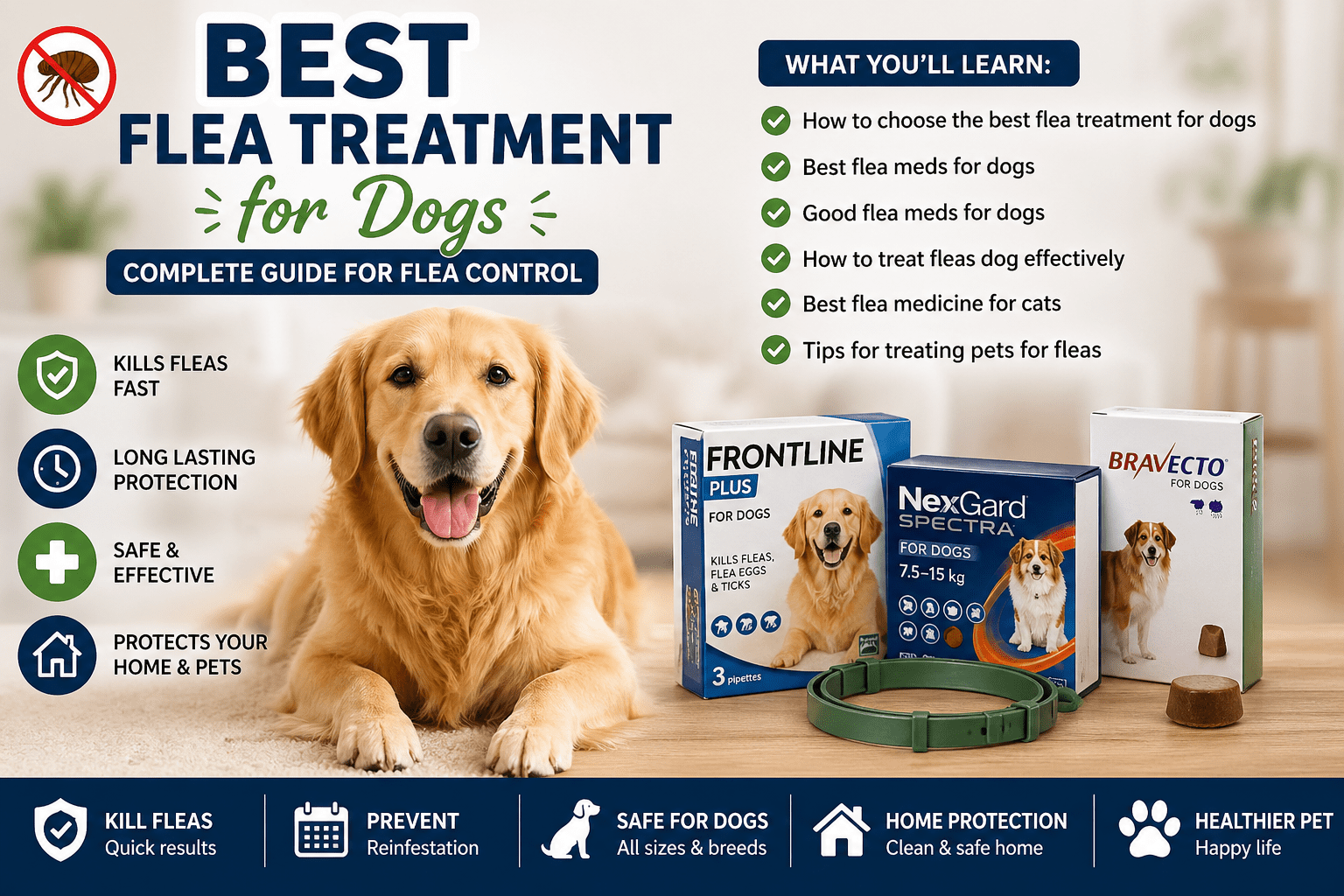 best flea treatment for dogs infographic showing flea control products and pet care guide