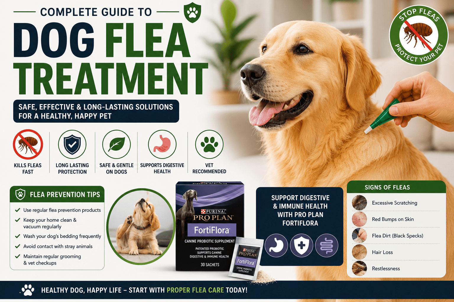 "Pro Plan FortiFlora supplement for dog digestion health"